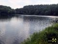 Holz Maar bei Gillenfeld nahe Daun in der Vulkaneifel, Rheinland-Pfalz, (D) (3) 01. Juni 2014.JPG